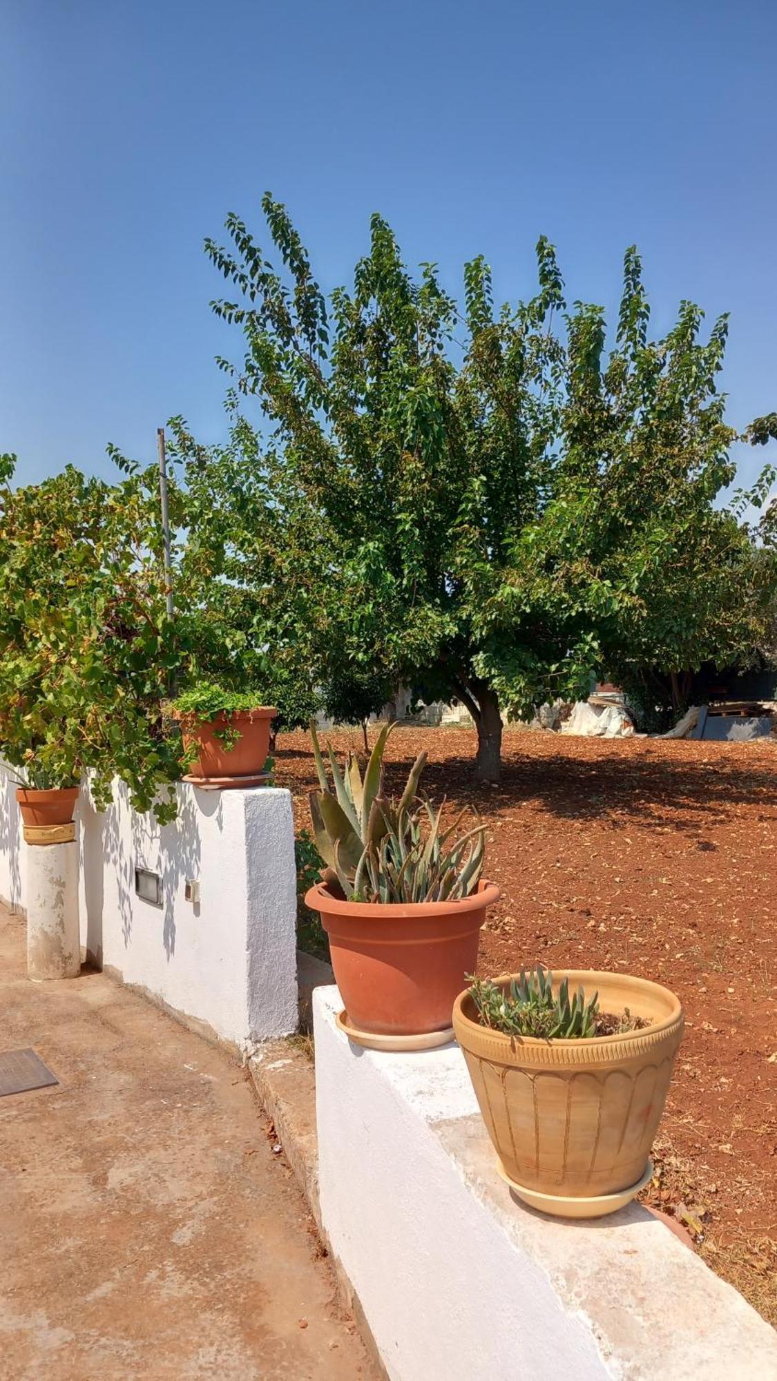 Balia Holiday home Corsano (Apulia)