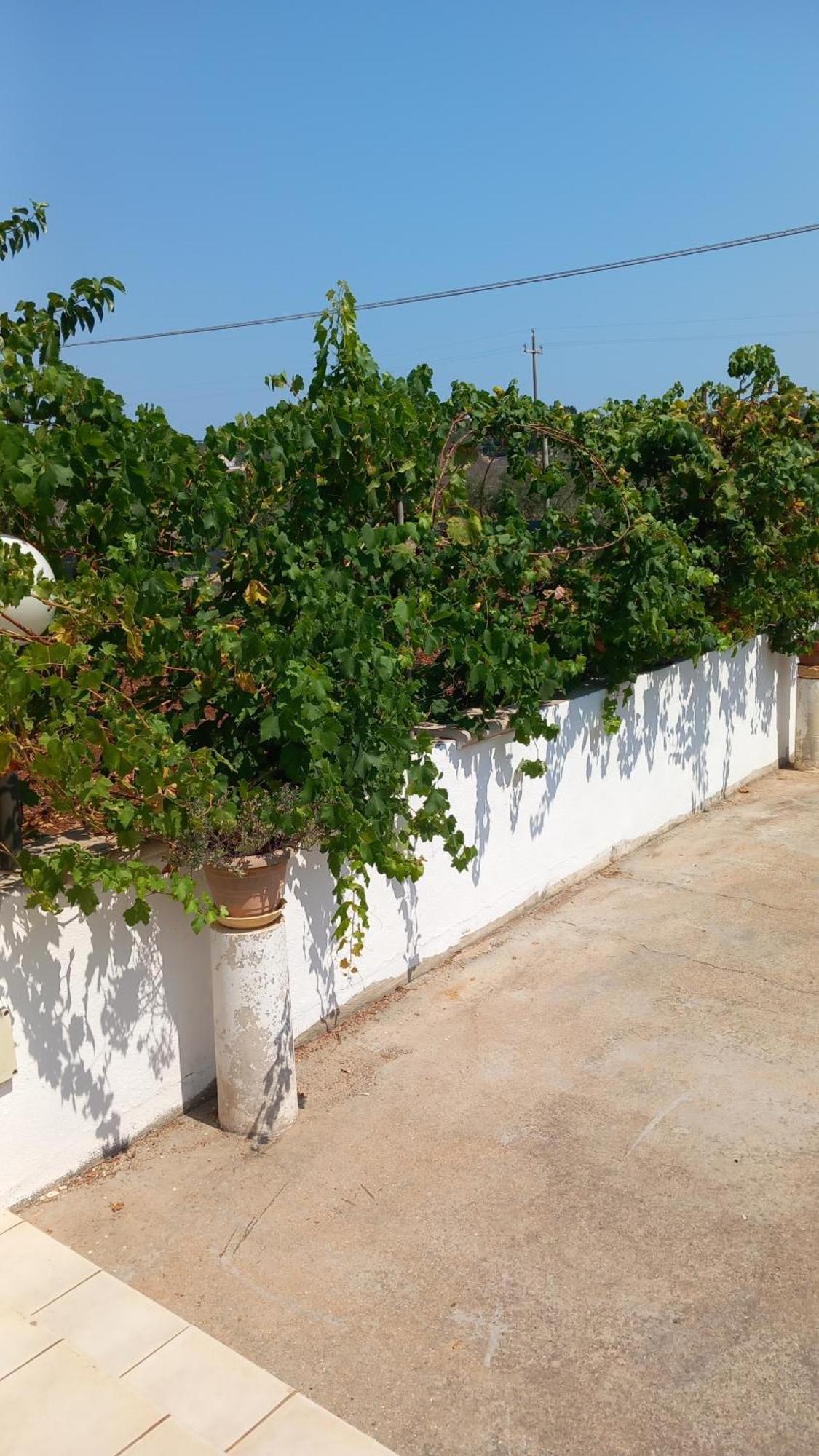 Balia Holiday home *